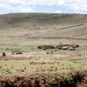 TZA ARU Ngorongoro 2016DEC23 044 : 2016, 2016 - African Adventures, Africa, Arusha, Date, December, Eastern, Month, Ngorongoro, Places, Tanzania, Trips, Year